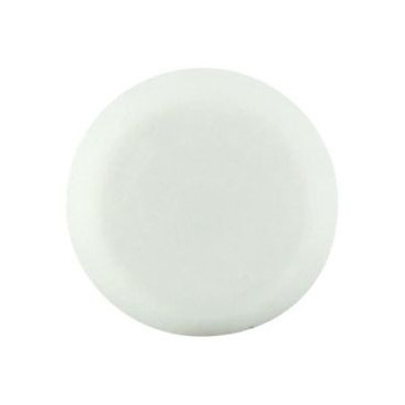 Boîte de 100 clous inox pour fixation bandeau couleur Blanc Nicoll | CI30B