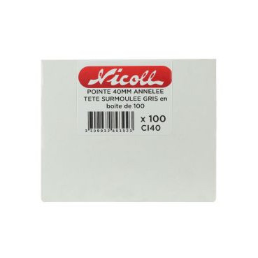 Boîte de 100 clous inox pour fixation bandeau couleur Gris Nicoll | CI40