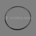 Image du produit : Joint de diffuseur HCP3800 HAYWARD | 500100120003