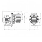 Image du produit : Pompe filtration Sta-Rite triphasée - LA STARITE - 0.75kW PENTAIR | P-STR-103E3