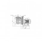 Image du produit : Pompe filtration Sta-Rite triphasée - LA STARITE - 0.75kW PENTAIR | P-STR-103E3