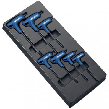 Module d'outils de 7 clés Torx mâles en "T" emmanchée pour équiper sa servante à outils vide - clés Torx T10 - T15 - T20 - T25 - T27 - T30 - T40 "Expert by Facom" | E121708